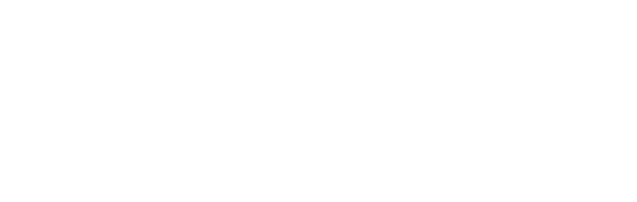 You have the freedom to be yourself, your true self, here and now, and nothing can stand in your way. -Jonathan Livingston Seagull, by Richard Bach